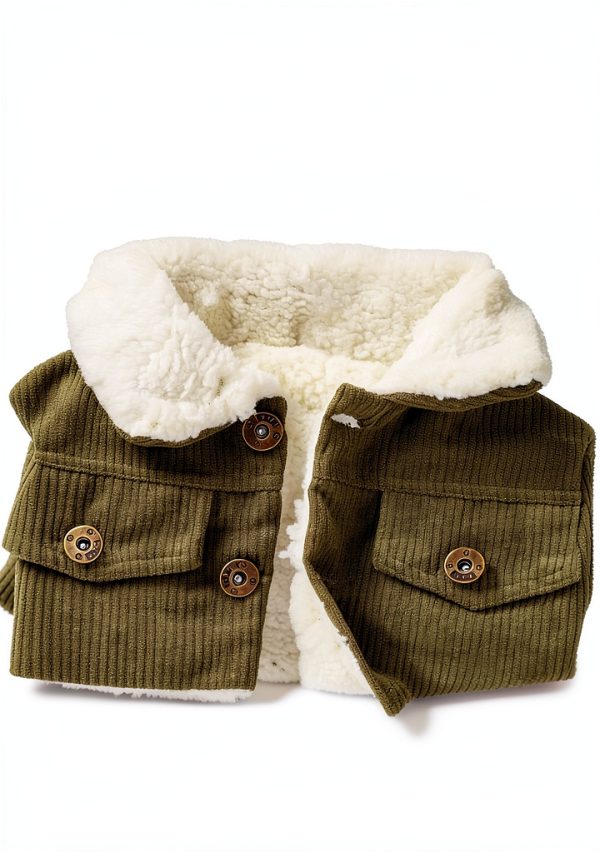 Noubeau Baby Boys Corduroy Sherpa Jacket Warm Turn Down Collar 2-3T-3