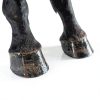 Horse Health Joint Combo Hoof & Coat Supplement 3.75 lb 30-Day Supply-4