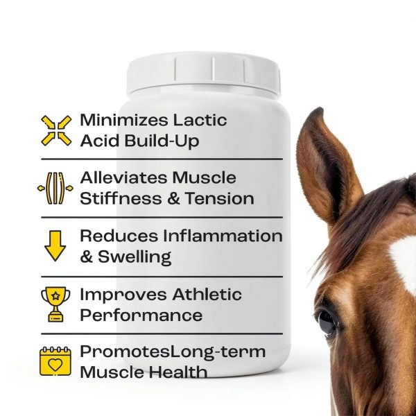 Summit Equine Muscle Relief Gel for Horses - L-Carnosine 16 fl oz-1