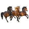 Horse Health Joint Combo Hoof & Coat Supplement 3.75 lb 30-Day Supply-2