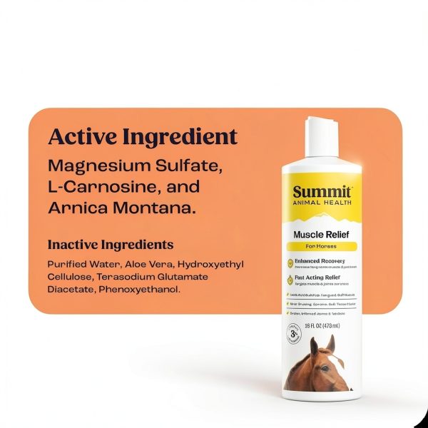 Summit Equine Muscle Relief Gel for Horses - L-Carnosine 16 fl oz-2