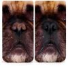 Lick Safe Dog Paw Balm with Coconut Oil and Shea Butter 2.1 oz-5
