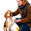 Lick Safe Dog Paw Balm with Coconut Oil and Shea Butter 2.1 oz-7