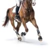 Farnam Fluidflex Liquid Joint Supplement for Horses 32oz 32-Day Supply-5