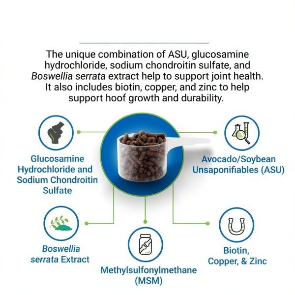 Cosequin ASU Joint & Hoof Pellets Nutramax 1200g Joint Health-3